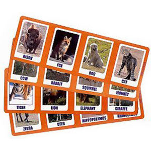 Four 3" x 7" double-sided cards. Four animals on each card on both sides. 